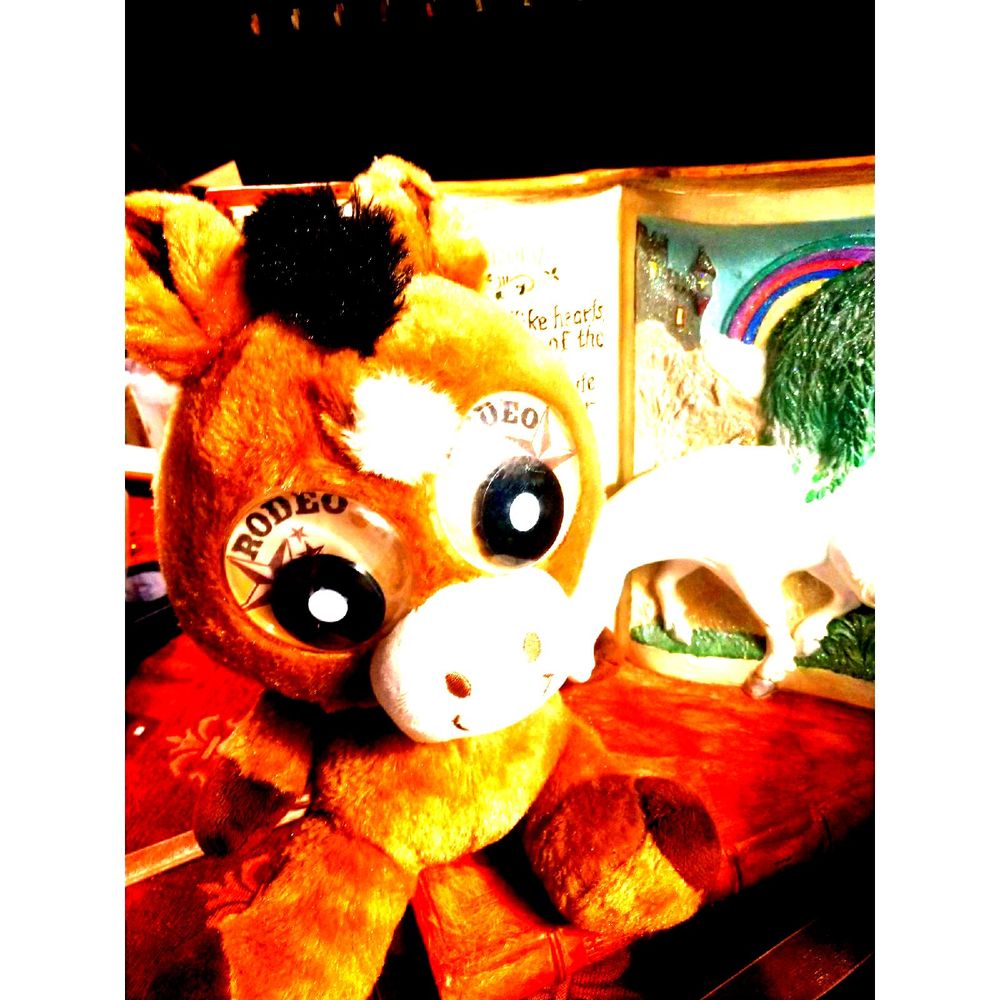 ~RODEO~ STUFFED ANIMAL~CUTE~